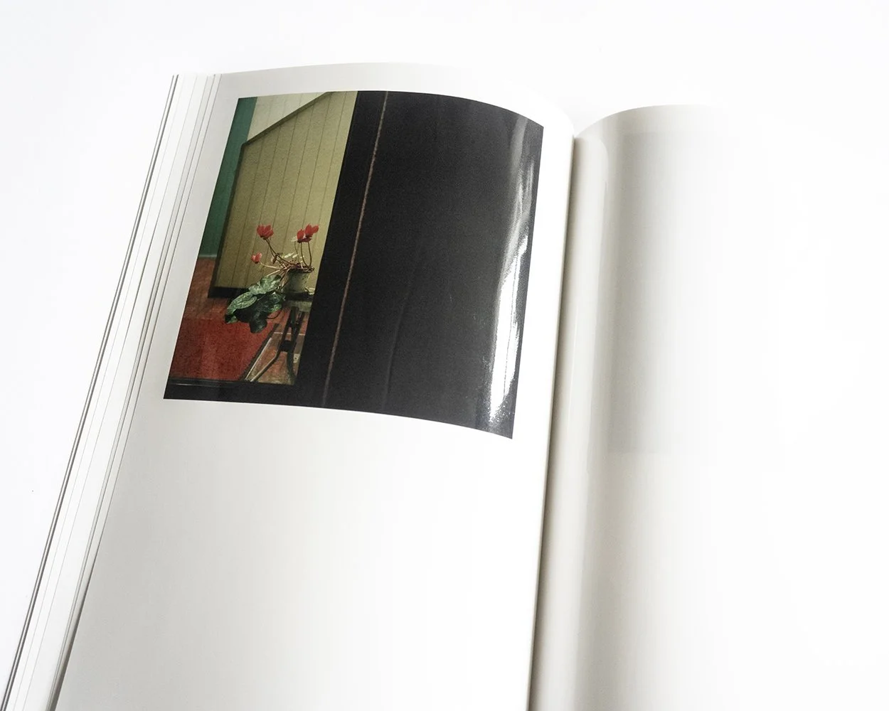 洋書 Eggleston: Mystery of the Ordinary 719i4rXCHuL._UF1000,1000_QL80_.jpg